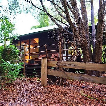 נאנופ Black Cockatoo Lodge מראה חיצוני תמונה