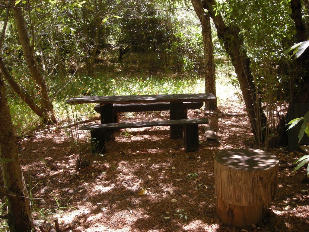 נאנופ Black Cockatoo Lodge מראה חיצוני תמונה