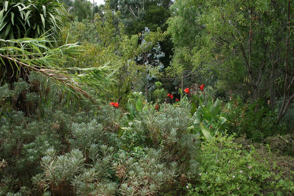 נאנופ Black Cockatoo Lodge מראה חיצוני תמונה