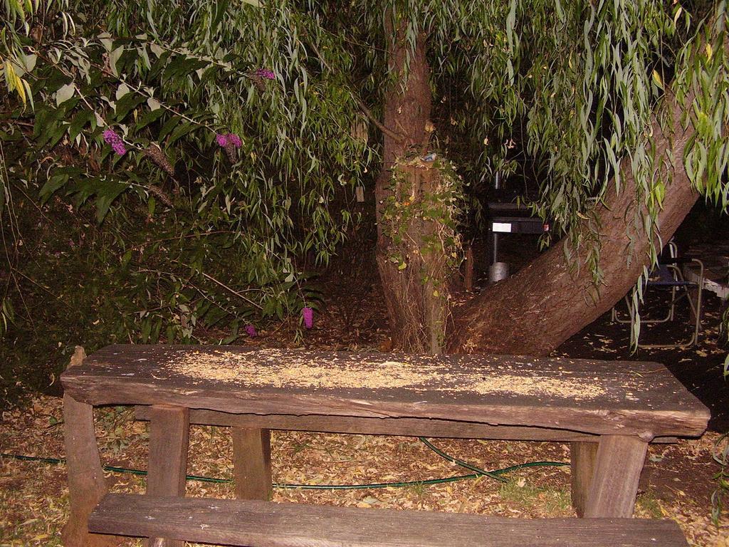 נאנופ Black Cockatoo Lodge מראה חיצוני תמונה