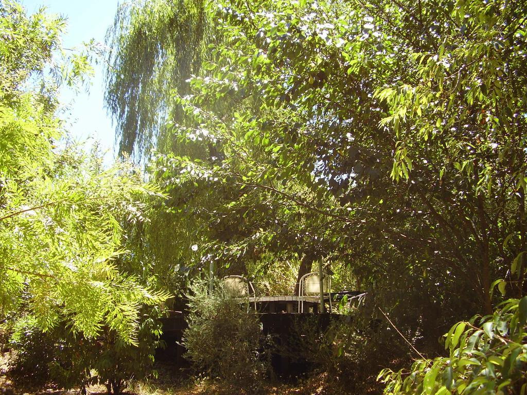 נאנופ Black Cockatoo Lodge מראה חיצוני תמונה