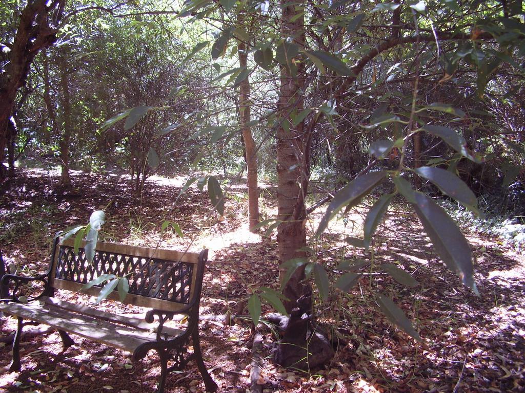 נאנופ Black Cockatoo Lodge מראה חיצוני תמונה