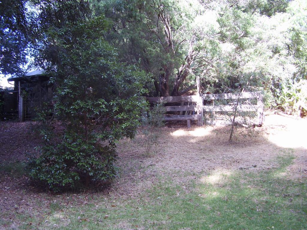 נאנופ Black Cockatoo Lodge מראה חיצוני תמונה