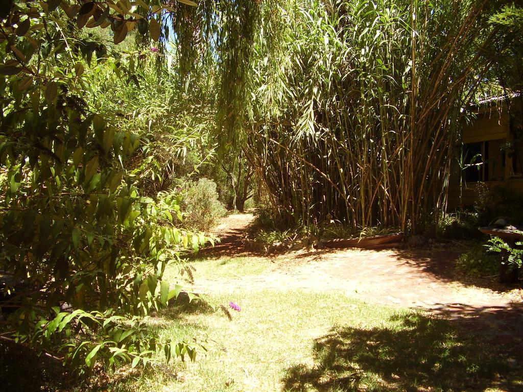 נאנופ Black Cockatoo Lodge מראה חיצוני תמונה