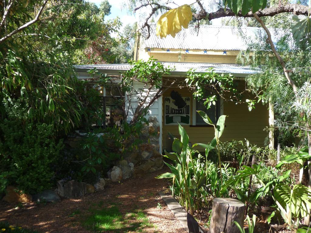 נאנופ Black Cockatoo Lodge מראה חיצוני תמונה