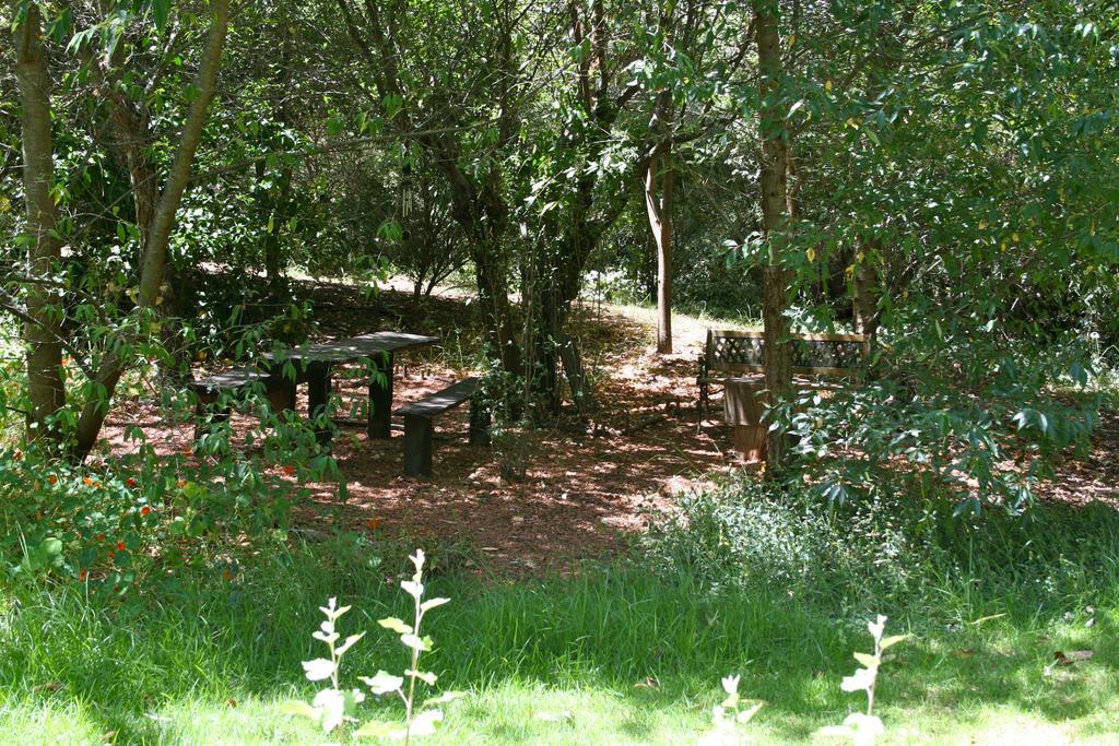 נאנופ Black Cockatoo Lodge מראה חיצוני תמונה