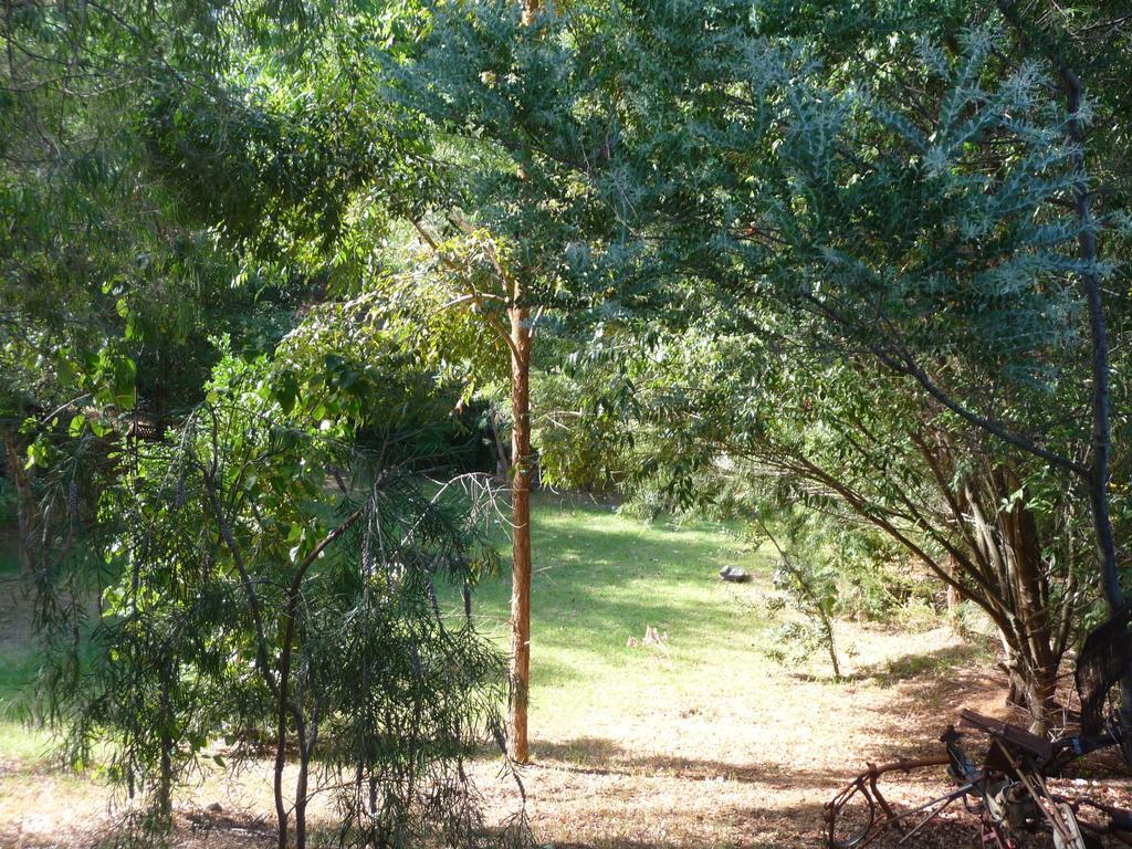 נאנופ Black Cockatoo Lodge מראה חיצוני תמונה