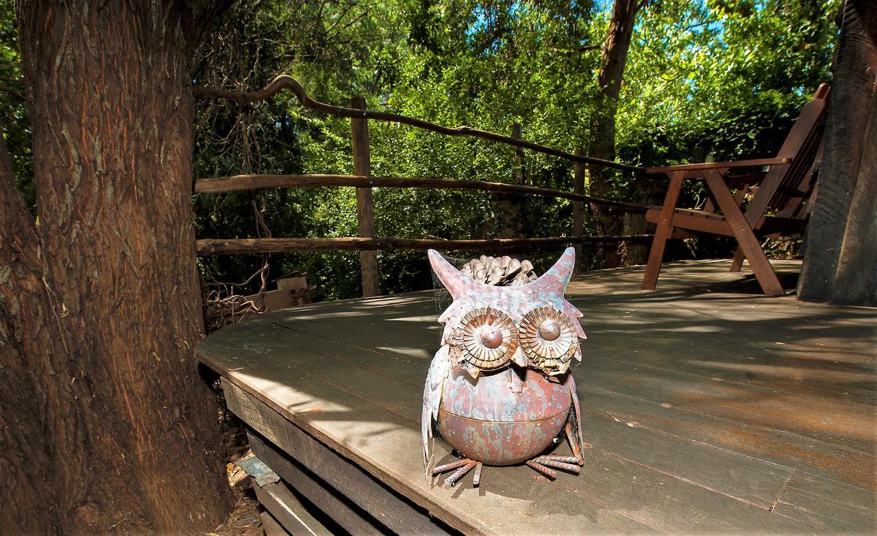 נאנופ Black Cockatoo Lodge מראה חיצוני תמונה