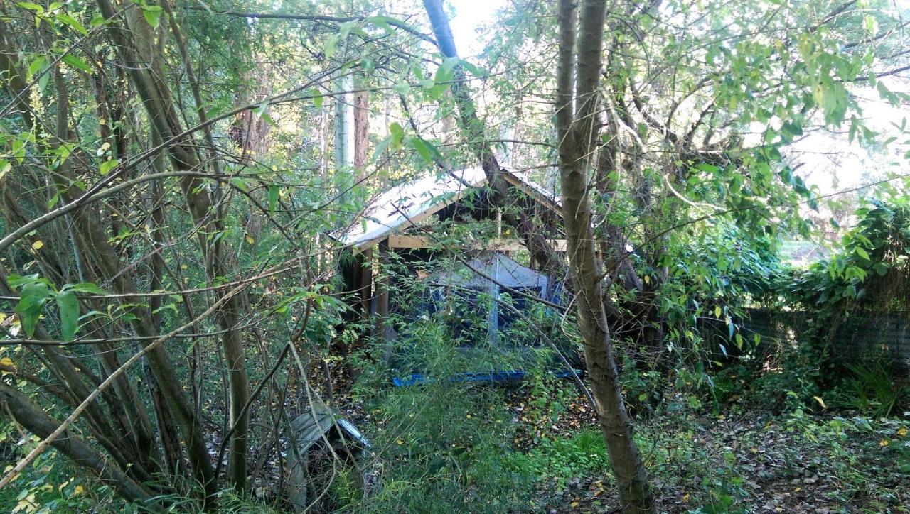 נאנופ Black Cockatoo Lodge מראה חיצוני תמונה